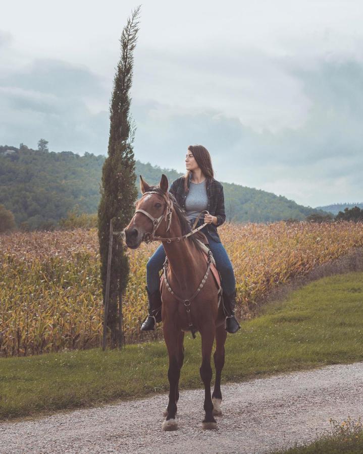 Agriturismo Querceto Mocaiana المظهر الخارجي الصورة