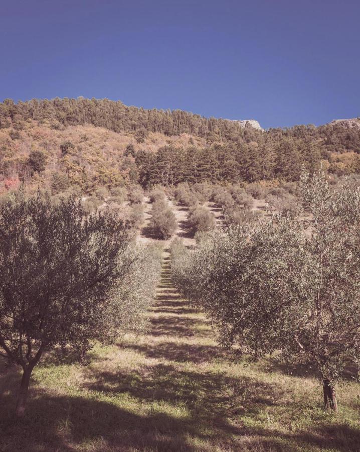 Agriturismo Querceto Mocaiana المظهر الخارجي الصورة